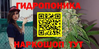 гашиш Аша