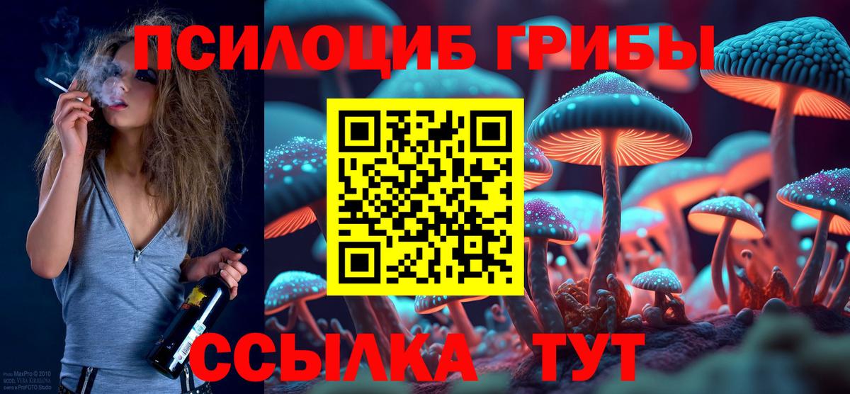 Псилоцибиновые грибы мицелий Балтийск